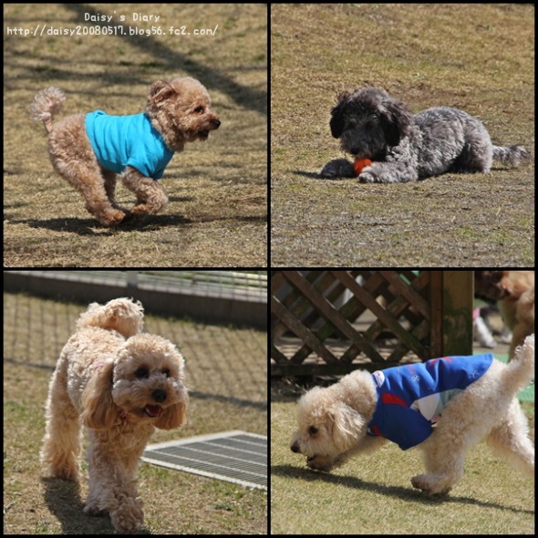 2012040208.jpg