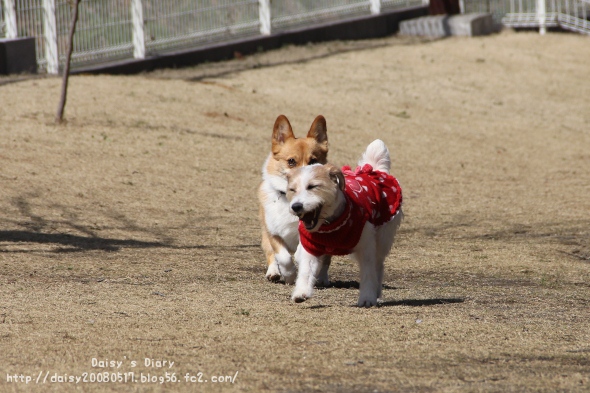 2012040209.jpg