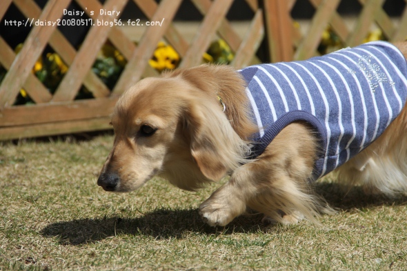 2012040210.jpg