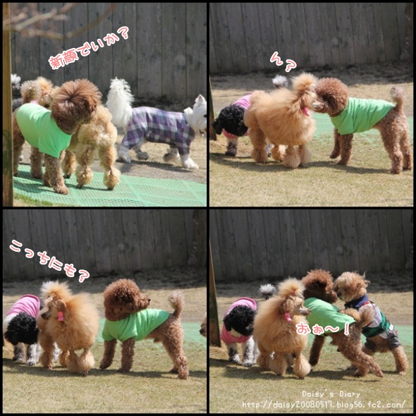 2012040211.jpg