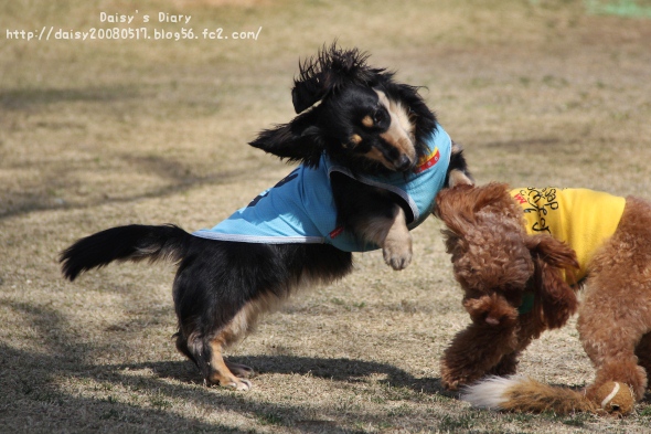 2012040212.jpg