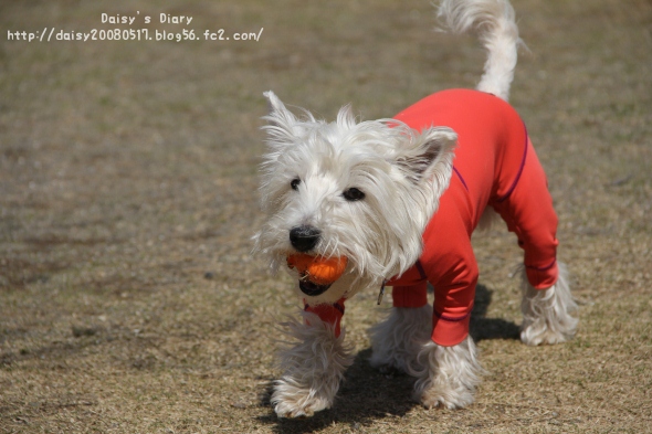 2012040213.jpg