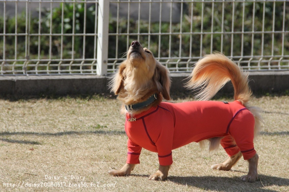2012040214.jpg