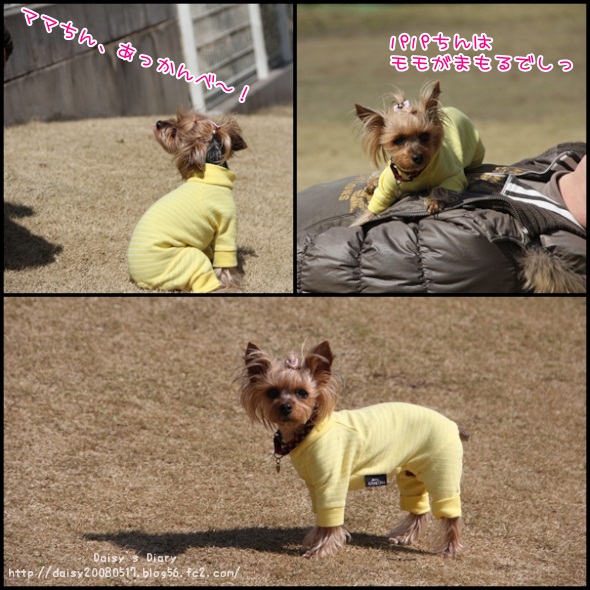 2012040215.jpg
