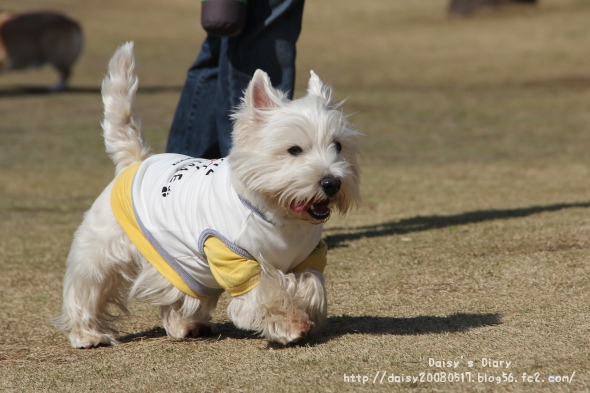 2012040216.jpg