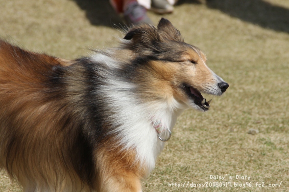 2012040217.jpg