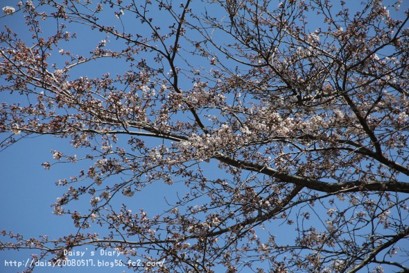 2012040801.jpg