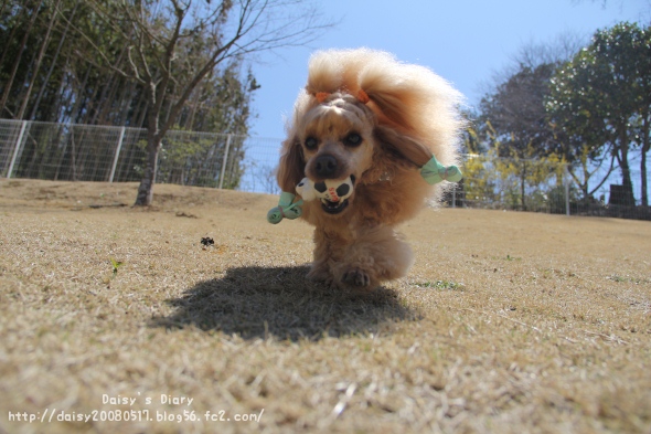2012040802.jpg