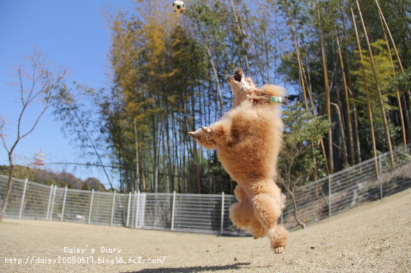2012040803.jpg