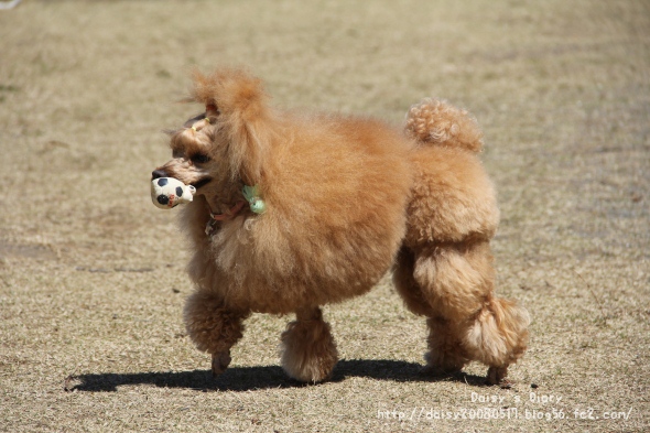 2012040804.jpg