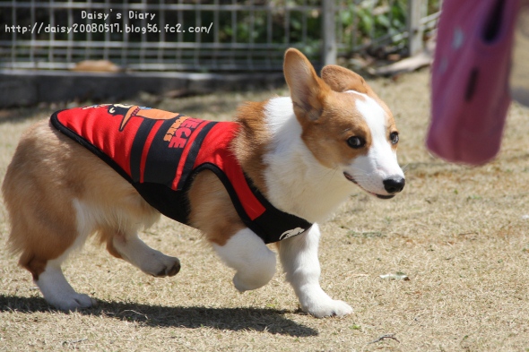 2012040805.jpg