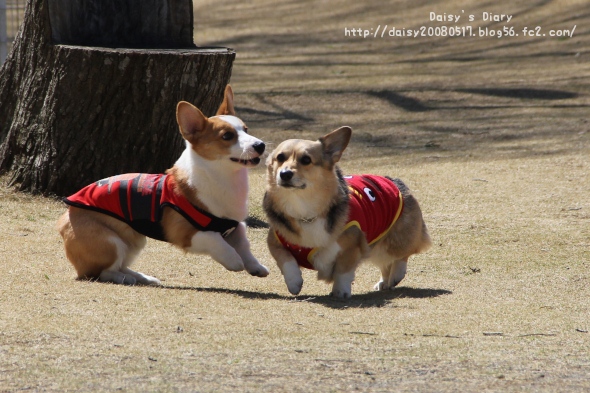 2012040806.jpg