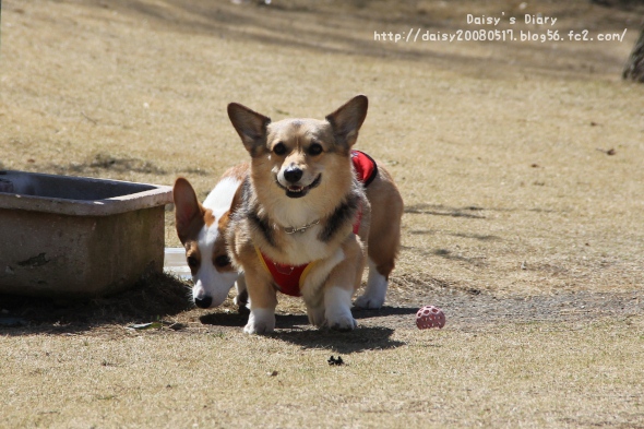 2012040807.jpg