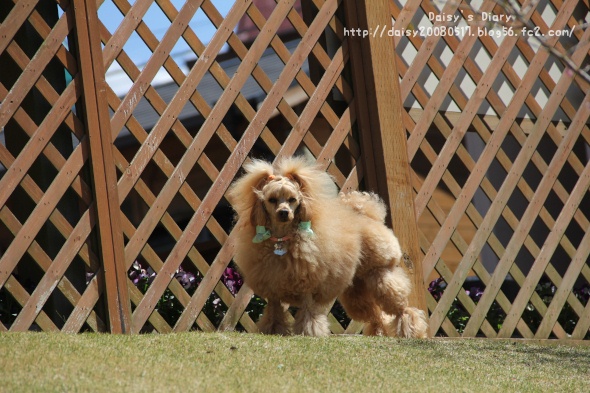 2012040809.jpg
