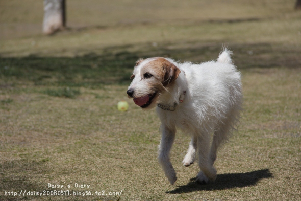 2012040810.jpg