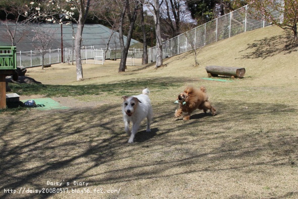 2012040811.jpg