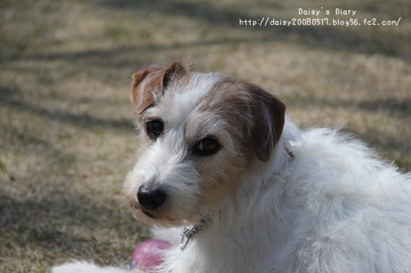 2012040812.jpg