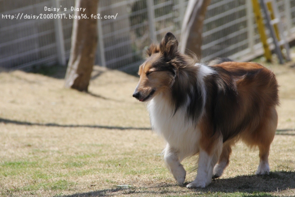 2012040813.jpg