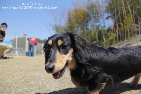 2012040901.jpg