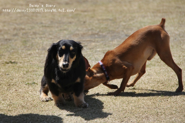 2012040902.jpg