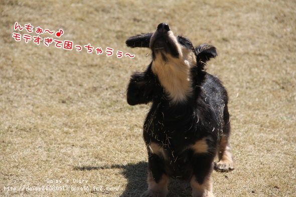 2012040903.jpg