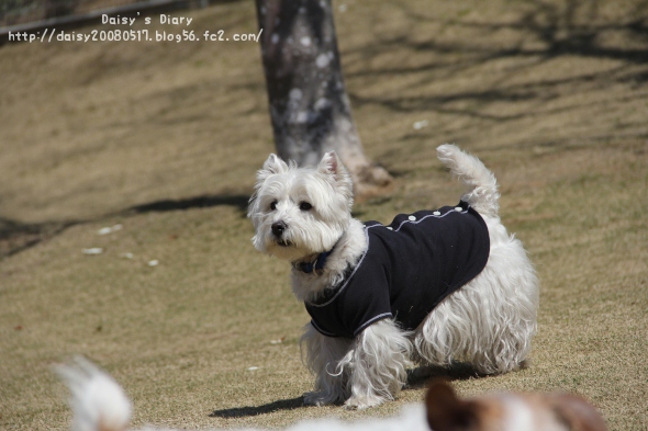 2012040905.jpg