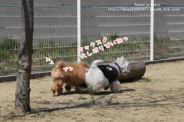 2012040906.jpg
