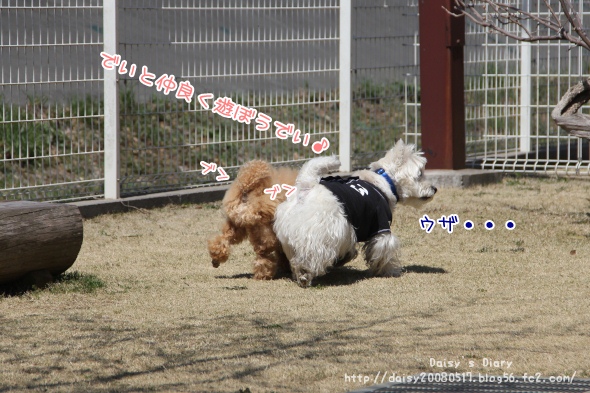 2012040907.jpg