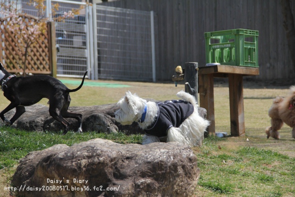 2012040908.jpg