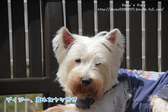 2012040910.jpg