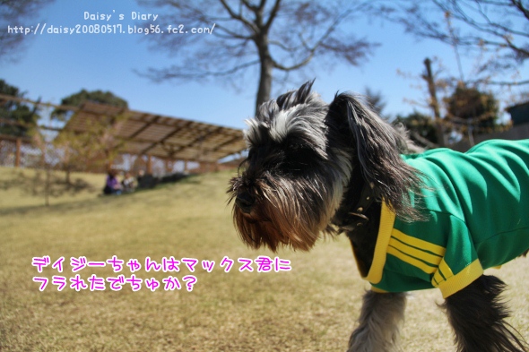 2012040911.jpg