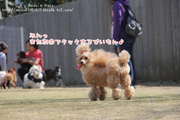 2012040912.jpg