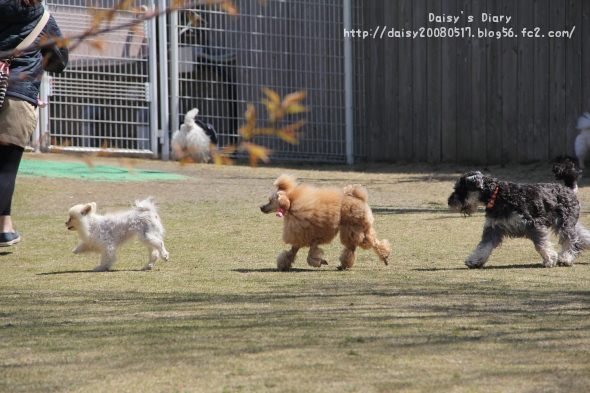 2012040913.jpg