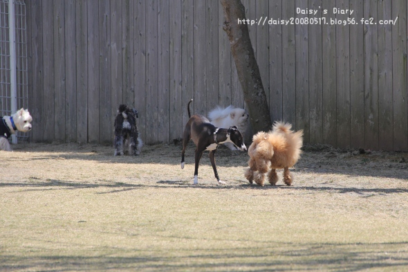 2012040914.jpg