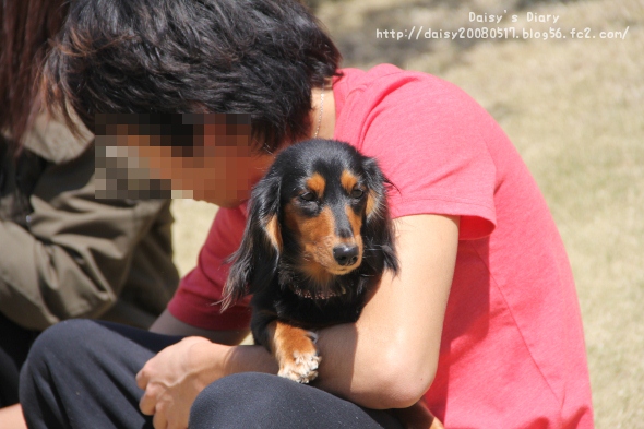 2012040915.jpg