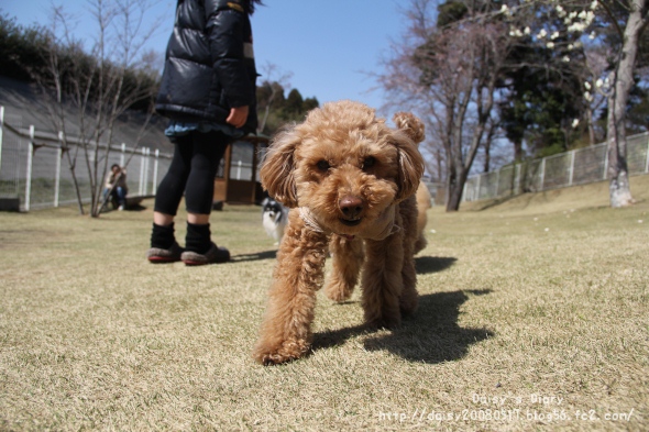 2012040916.jpg