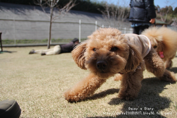 2012040917.jpg