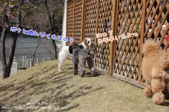 2012040918.jpg
