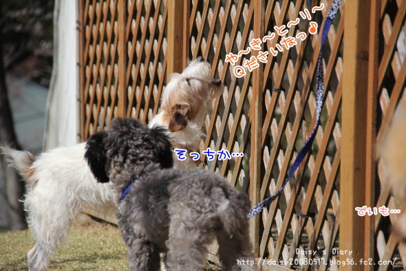 2012040919.jpg