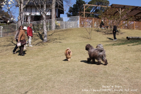 2012040920.jpg