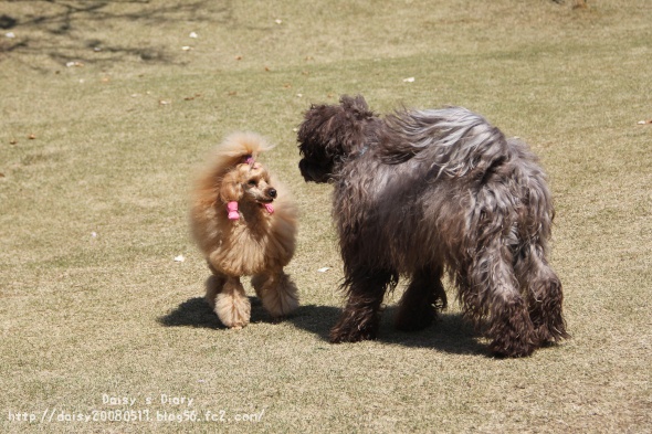 2012040921.jpg