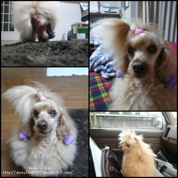 2012041201.jpg