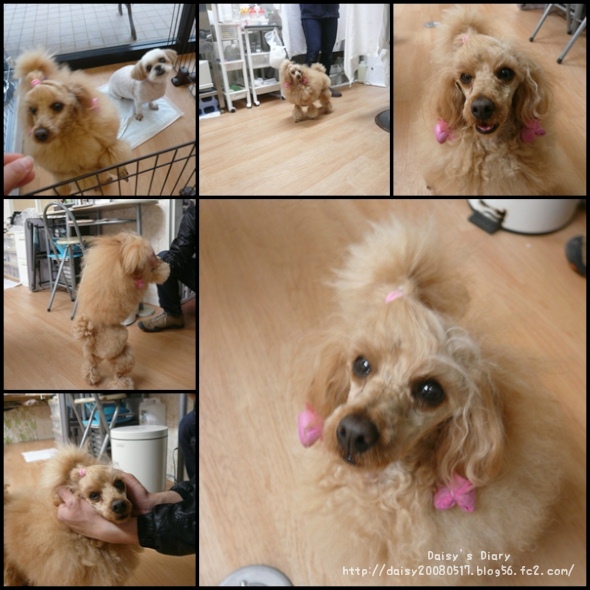 2012041202.jpg