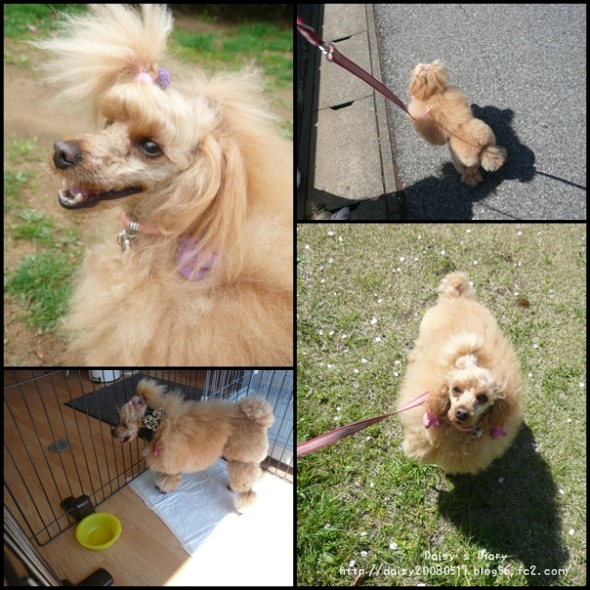 2012041203.jpg
