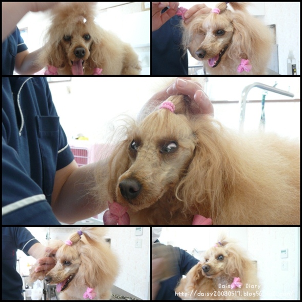 2012041204.jpg