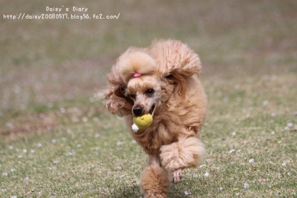 2012042101.jpg