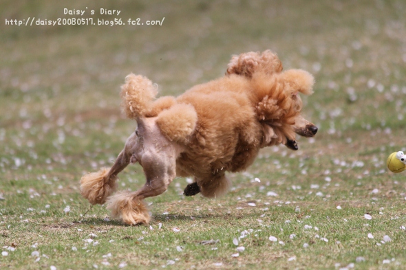 2012042102.jpg