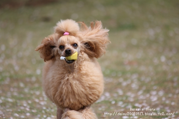 2012042103.jpg
