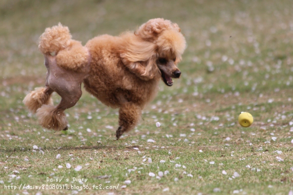 2012042104.jpg