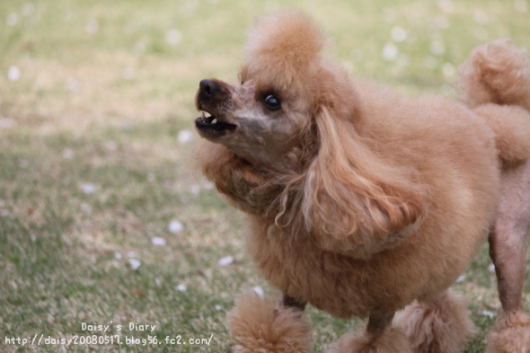 2012042105.jpg